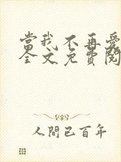 当我不再爱你时全文免费阅读封面