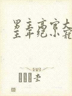 男主高官大叔女主年纪小宠文封面