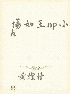 伤如玉np小说h
