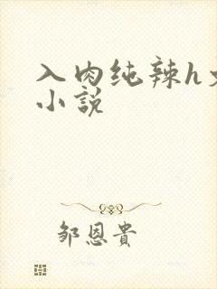 入肉纯辣h文 小说