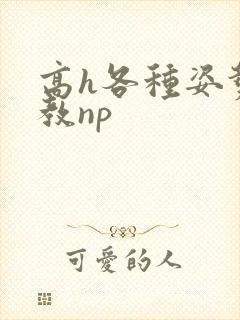 高h各种姿势调教np
