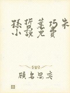 孙哲叶巧朱颜的小说免费封面