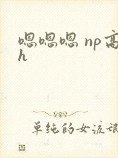 嗯嗯嗯 np高h