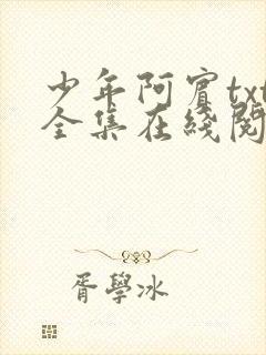 少年阿宾txt全集在线阅读