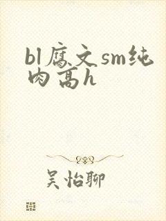 bl腐文sm纯肉高h封面