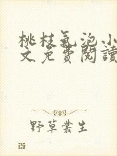 桃枝气泡小说全文免费阅读封面