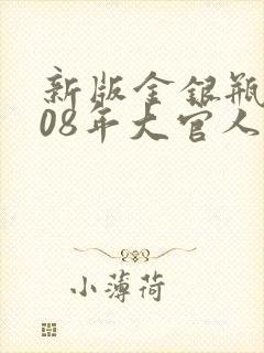 新版金银瓶2008年大官人