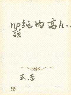 np纯肉高h小说封面