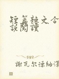 短篇辣文合集小说阅读