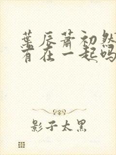 叶辰萧初然最后有在一起吗