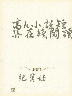 高h小说短篇合集在线阅读