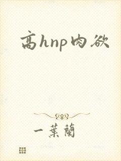 高hnp肉欲