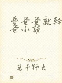 爱爸爸就干坏爸爸小说