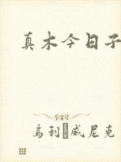 真木今日子封面