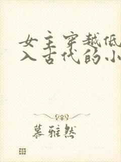 女主穿越低调融入古代的小说