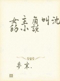 女主角叫沈知夏的小说