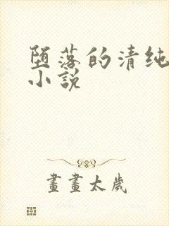 堕落的清纯校花小说