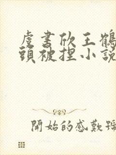 虞书欣王鹤棣奶头被捏小说封面