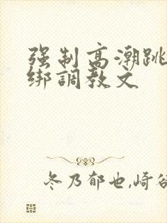 强制高潮跳蛋捆绑调教文封面