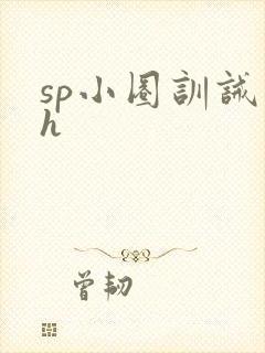 sp小圈训诫文h