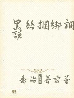 黑丝捆绑调教小说