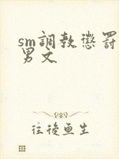 sm调教惩罚男男文