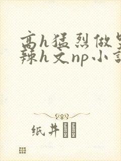 高h猛烈做哭高辣h文np小说封面