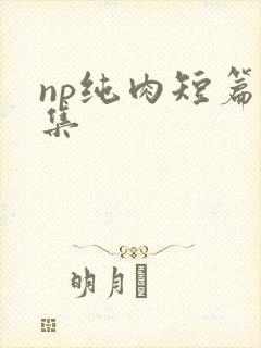 np纯肉短篇合集