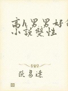 高h男男好舒服小说双性