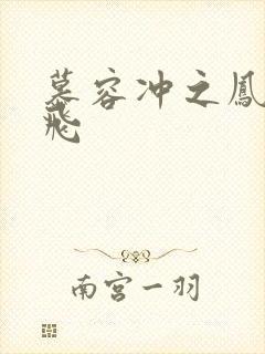 慕容冲之凤凰于飞