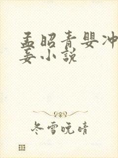 孟昭青婴冲喜侍妾小说