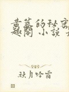 黄蓉的秘密 笔趣阁 小说 最新章节在线阅读封面