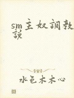 sm主奴调教小说