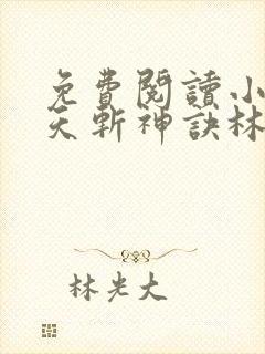 免费阅读小说九天斩神诀林辰