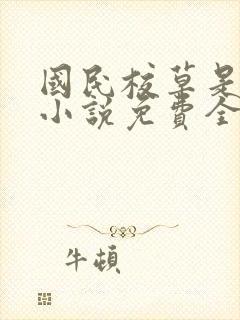 国民校草是女生小说免费全集