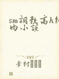 sm调教高h纯肉小说