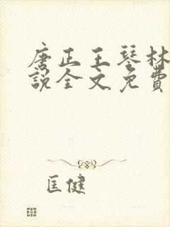 唐正王琴林媛小说全文免费阅读