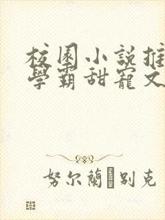 校园小说推荐双学霸甜宠文封面