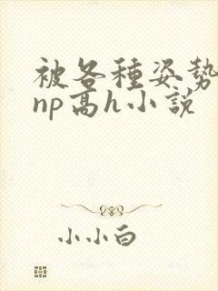 被各种姿势玩弄np高h小说