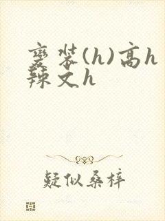 变装(h)高h辣文h
