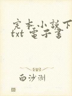 完本小说下载 txt 电子书