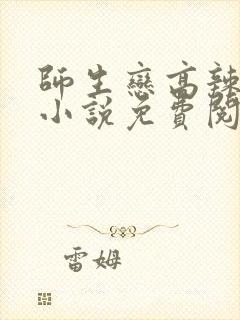 师生恋高辣h文小说免费阅读封面