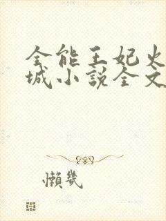 全能王妃火爆京城小说全文免费阅读