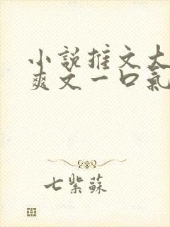 小说推文大女主爽文一口气看完重生有系统