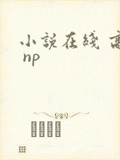 小说在线 高h np