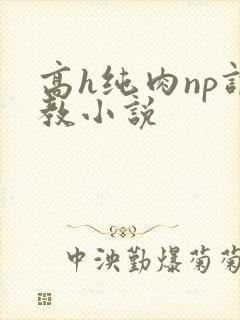 高h纯肉np调教小说封面