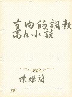 有肉的调教np高h小说