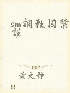 sm调教囚禁小说