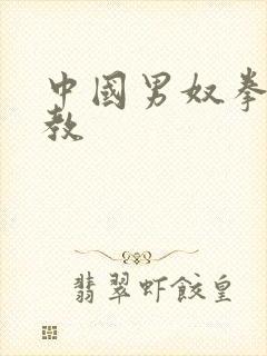 中国男奴拳交调教