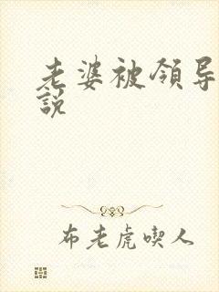 老婆被领导操小说